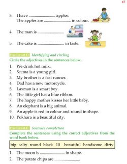 1st Grade Grammar Adjectives (6).jpg